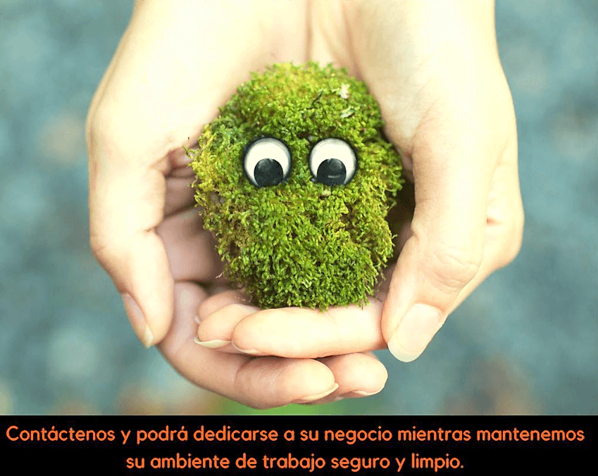Equipo profesional de limpieza JustClean en Santiago - Personal calificado